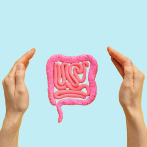 Hands around a model of the Small Intestine